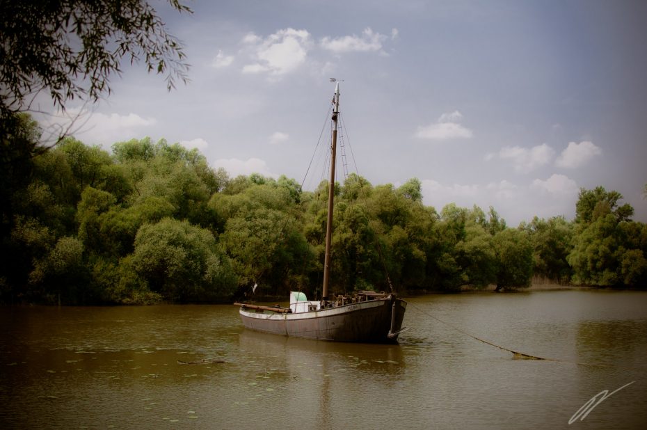 Auch im Rhein: Ein Boot