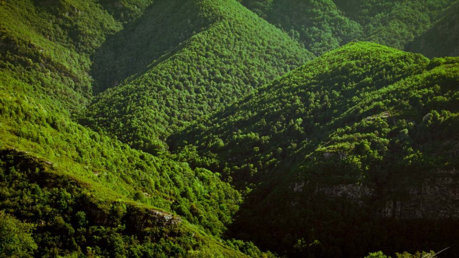 galicische grüne Berge